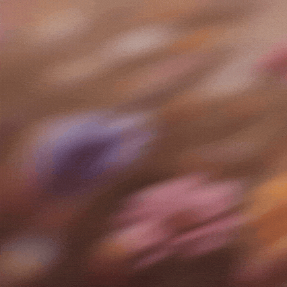 Feature Banner